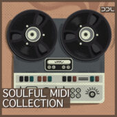 Soulful MIDI Collection – 493 Files