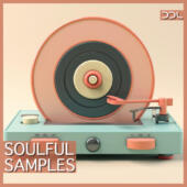 Soulful Samples – 300 Wav Loops