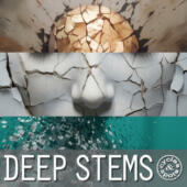 Limited Special – Deep Stems Bundle